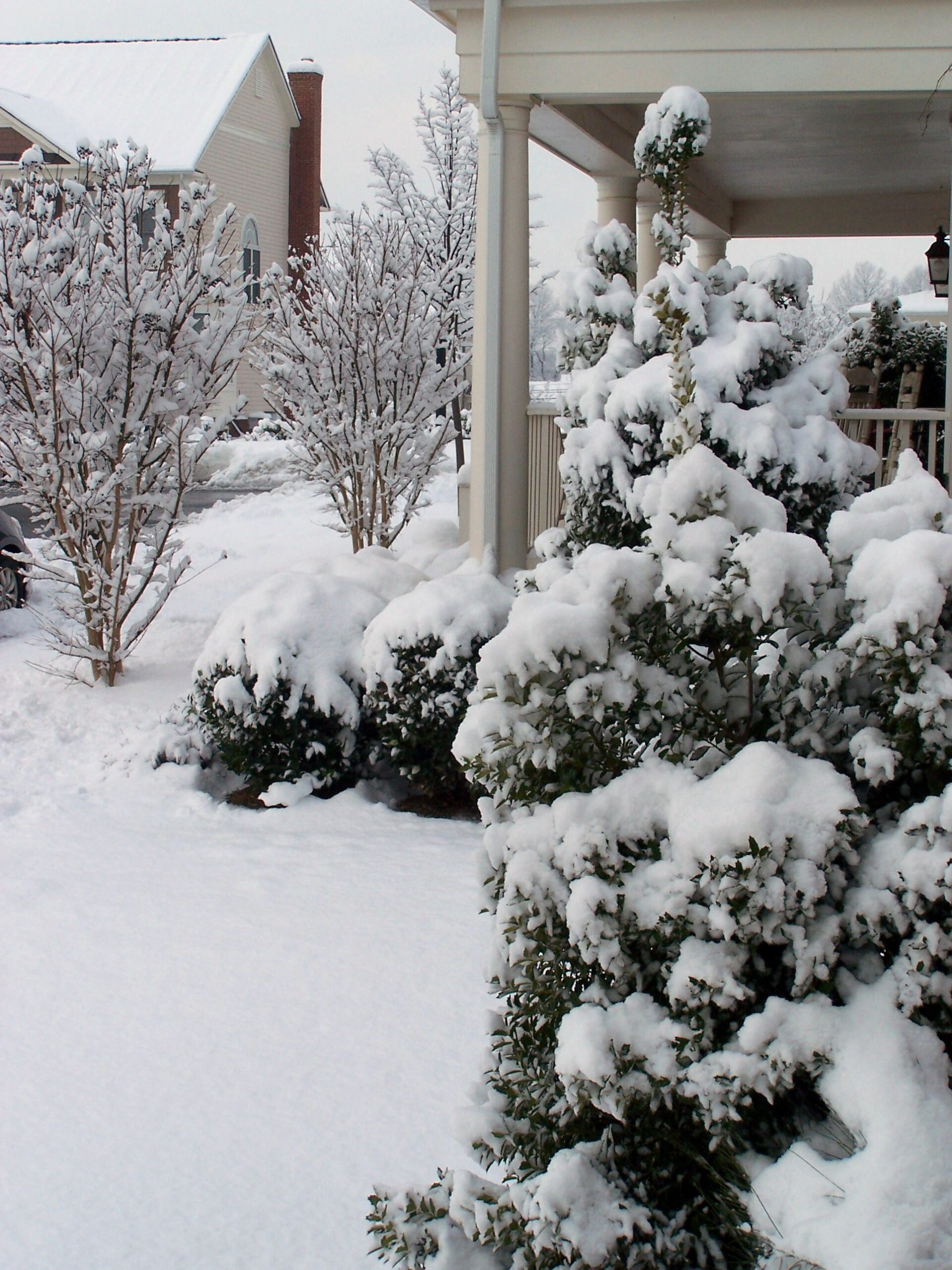 Snow-covered shrubs and porch railings in Purcellville, Virginia