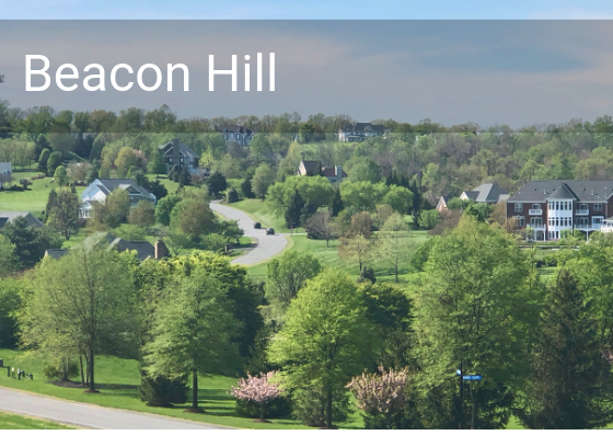 Beacon Hill Leesburg neighborhood