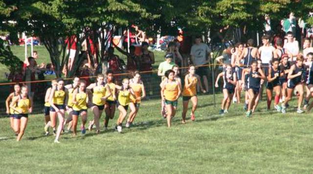 On Your Mark, Get Set, Trot!