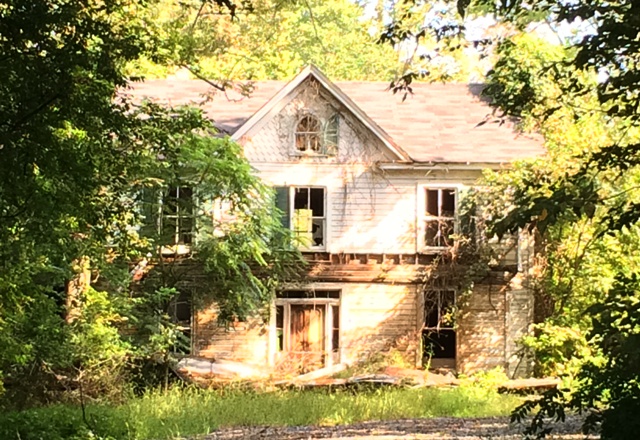 How to DIY Your Dream Home