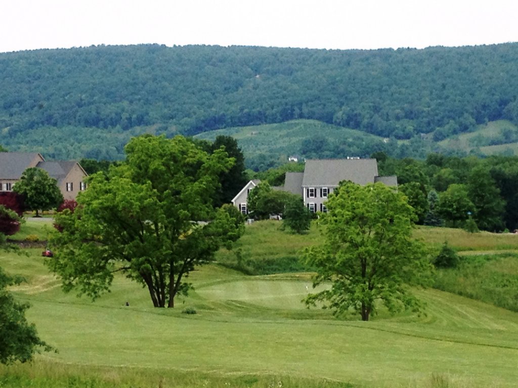2013 Year in Review: Stoneleigh