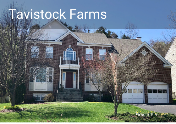 Tavistock Farms neighborhood, Tavistock Farms real estate, Tavistock Farms homes for sale