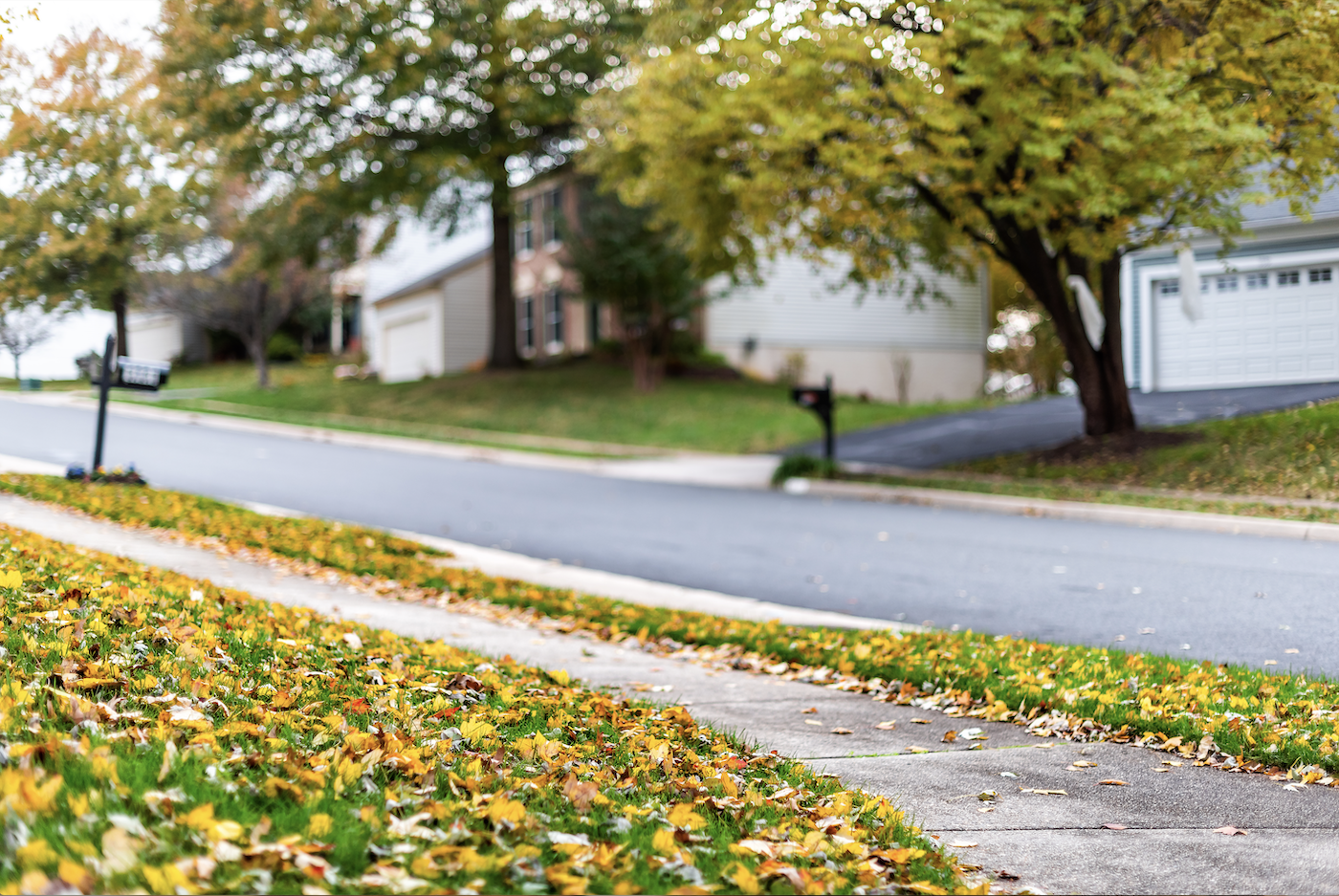 Looking for Coming Soon Homes?