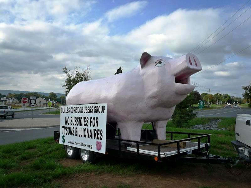 Have You Seen This Pig?